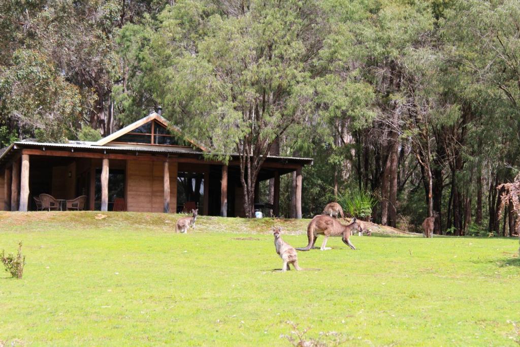 Marima Cottages Pemberton Exterior foto
